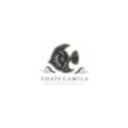 Logo de Thaïs Camila